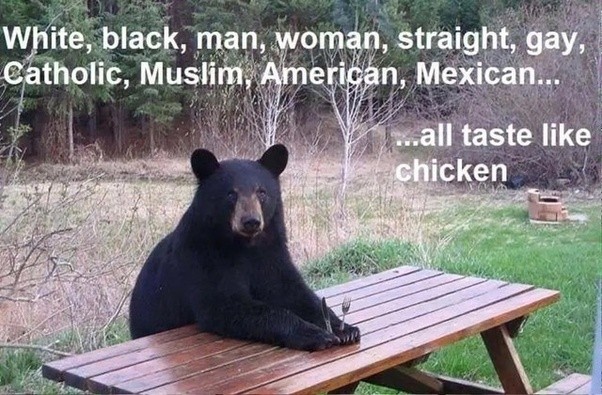 A bear with a&nbsp;point